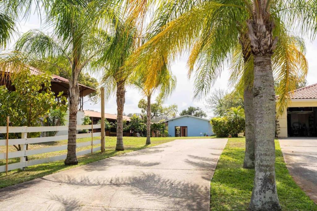 Tampa Bay Oasis Daire Tarpon Springs Dış mekan fotoğraf