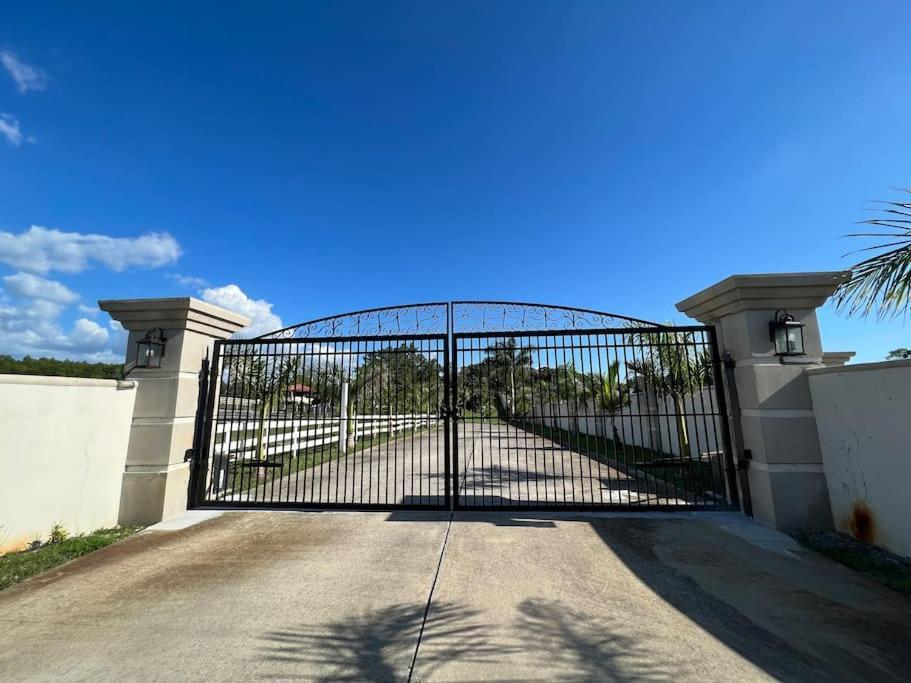 Tampa Bay Oasis Daire Tarpon Springs Dış mekan fotoğraf